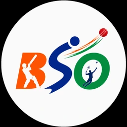 BSO AI Review